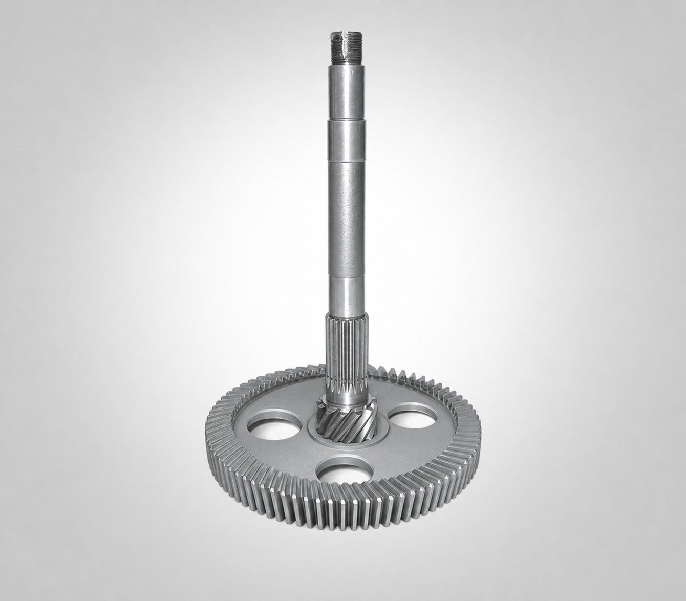 Gear-04 vertical gear shaft with ring gear