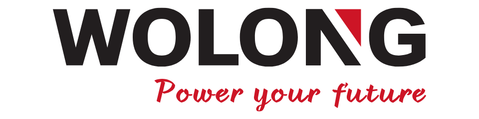 Wolong Group logo